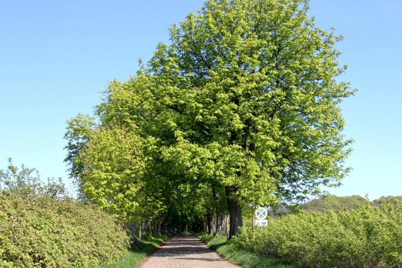Viel Natur, Idyllische Umgebung, Ruhige Lage - Ferienpark Neddesitz Fewo 299 Екстериор снимка